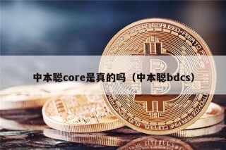中本聪core是真的吗（中本聪bdcs）